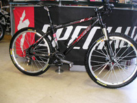 MTB_OlmoCarbon