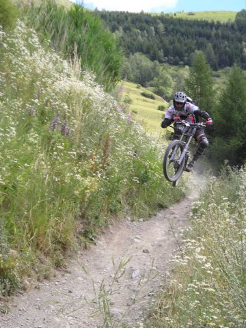 desalpes004.jpg