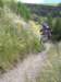 desalpes004_small.jpg