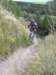 desalpes007_small.jpg