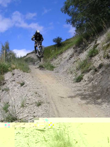 desalpes009.jpg