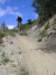 desalpes009_small.jpg