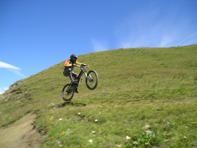 desalpes037.jpg