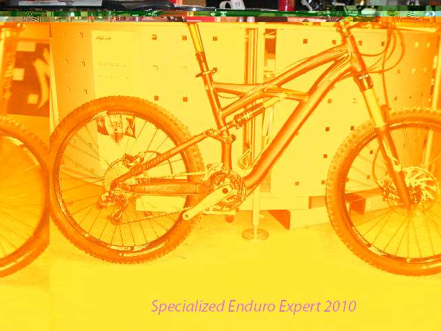 Specialized Eduro Expert