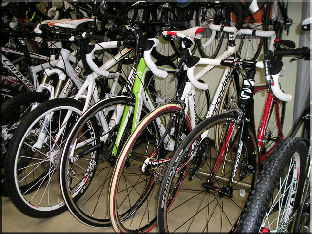 Esposizione bici